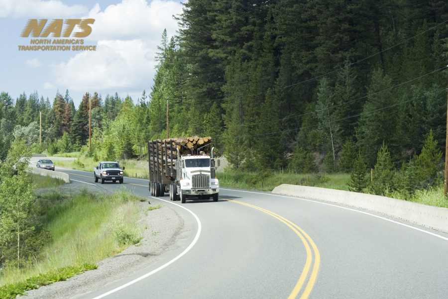 How Trucking Companies Are Providing Superior Customer Service? NATS